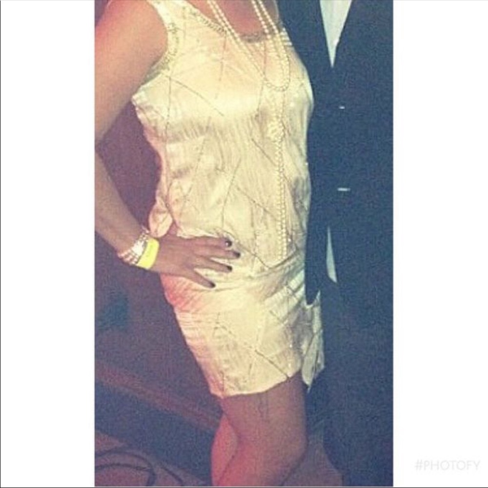 1920’s Vintage Flapper Dress 6